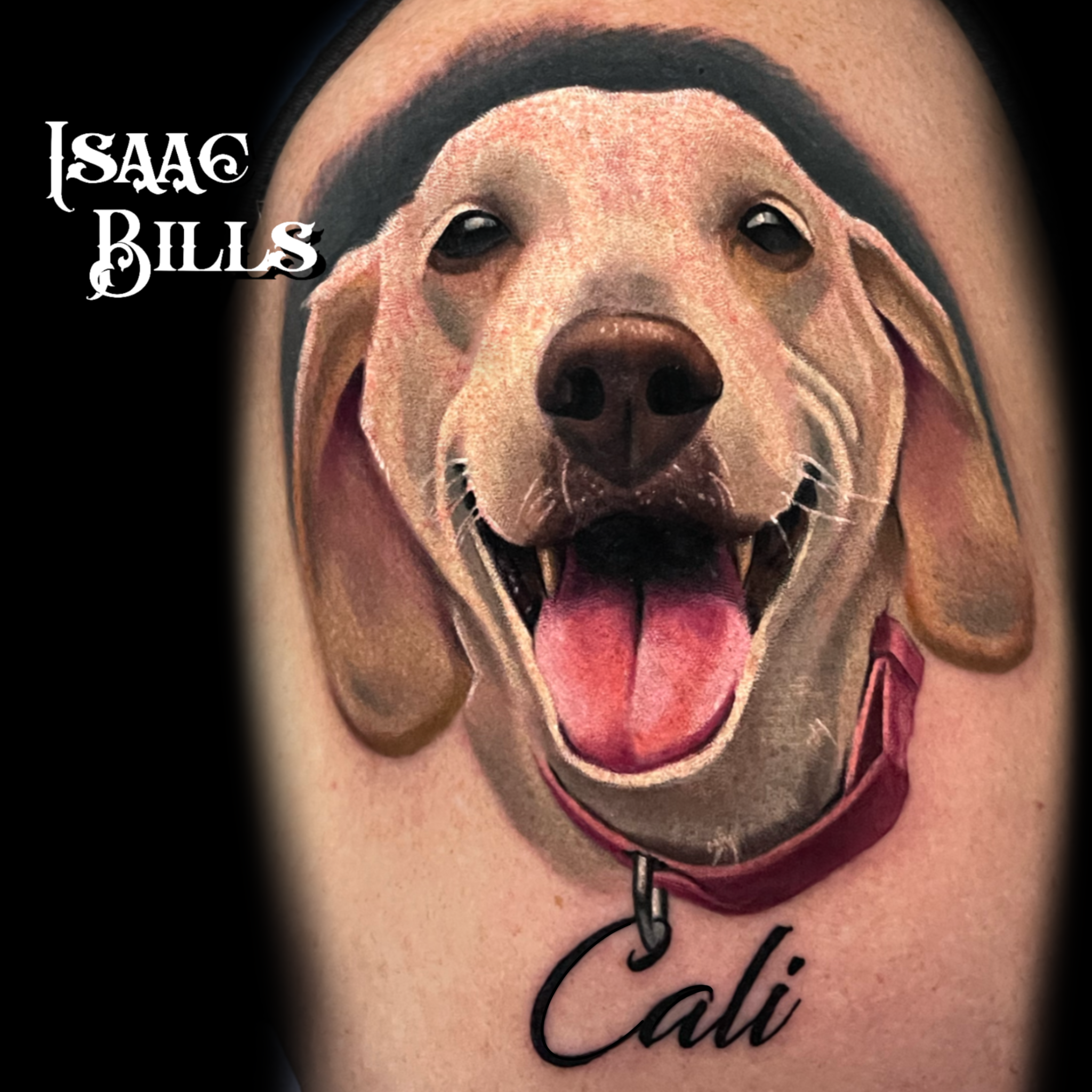Color,Portrait,Animal,Lettering and Script,Realism tattoo by Isaac Bills