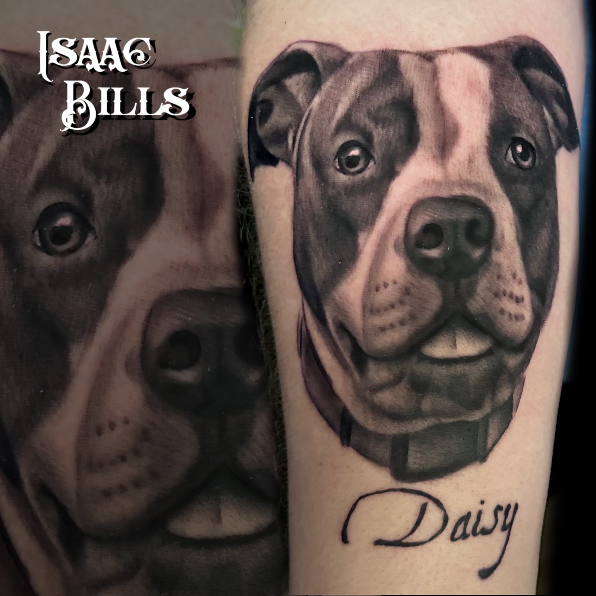 Black and Gray,Portrait,Animal,Lettering and Script tattoo by Isaac Bills