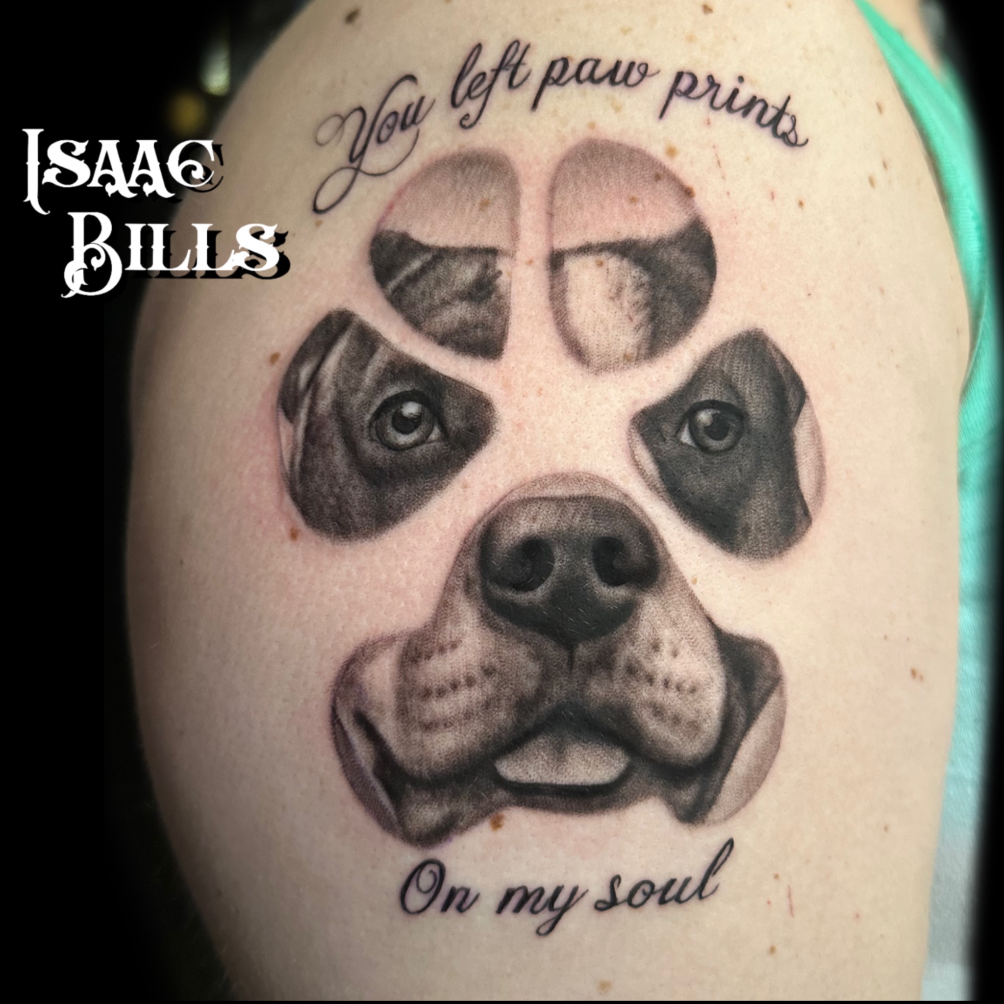 Black and Gray,Animal,Portrait,Realism,Lettering and Script tattoo by ...