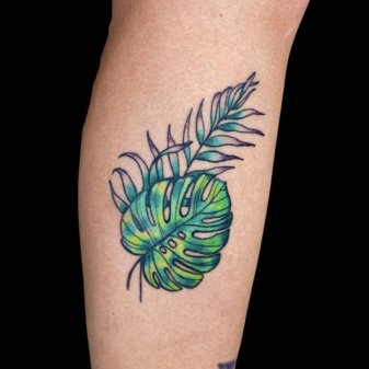 Buy Monstera Leaves Temporary Tattoo Online in India  Etsy