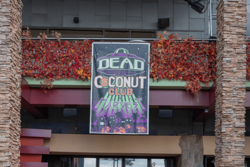 Dead coconut front 1