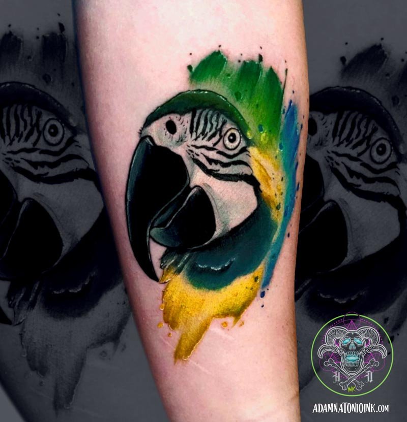 A watercolor-ish Macaw with the colors of the Venezuelan flag. By James  Hall in Shaman Body Modificaions, Autin TX : r/tattoos