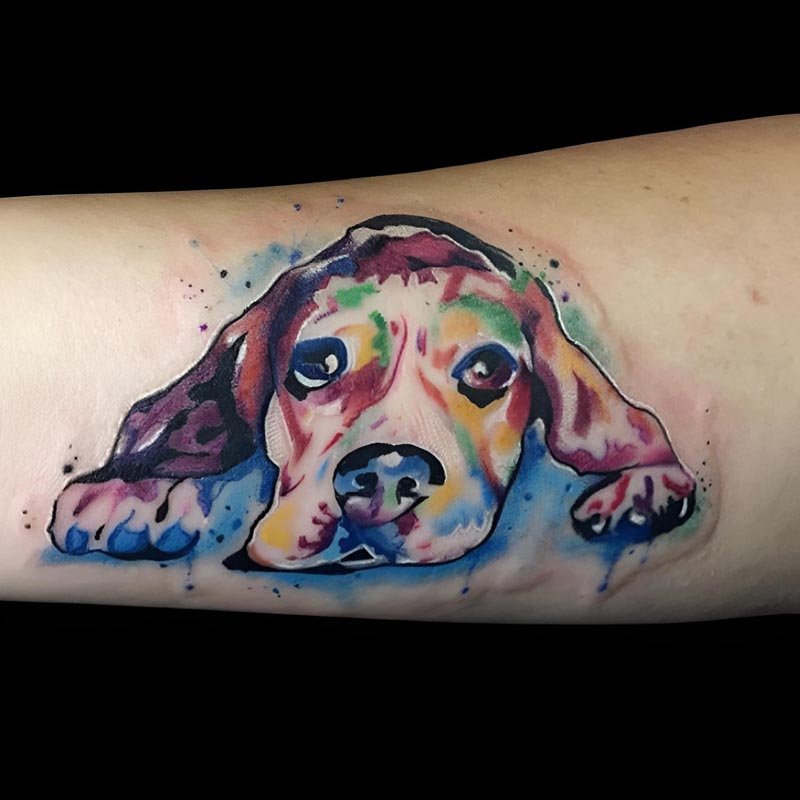 15 Tattoo Design Ideas For True Basset Hound Lovers  PetPress
