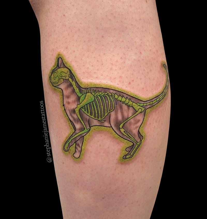 Cat skeleton tattoo by Roy Tsour | Post 30380 | Skeleton tattoos, Cat skull  tattoo, Creative tattoos